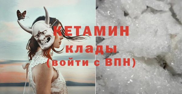 прущие грибы Аркадак