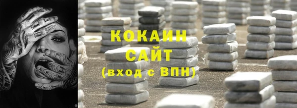 прущие грибы Аркадак