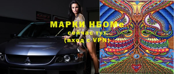 прущие грибы Аркадак