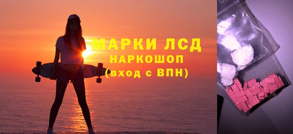 прущие грибы Аркадак