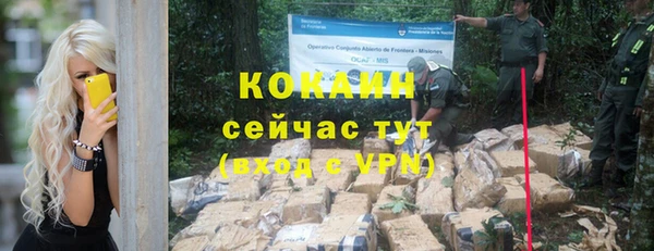 прущие грибы Аркадак