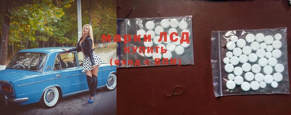 прущие грибы Аркадак